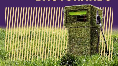 Photo of Как биотопливо влияет на окружающую среду