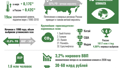 Photo of Биотопливо: роль в борьбе с изменением климата