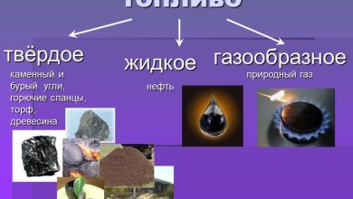 Photo of Виды биотоплива и их преимущества