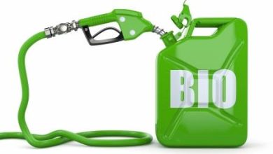 Photo of Экологичное биотопливо для автомобилей