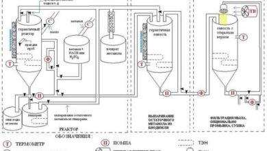 Photo of Биотопливо как альтернатива нефти